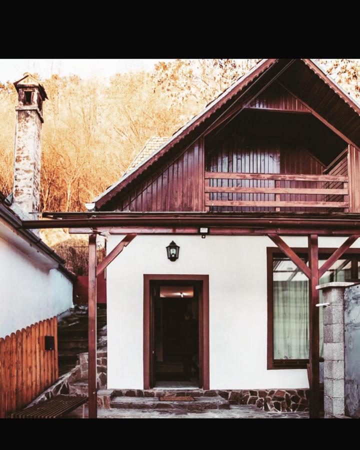 Willa Sedra House Sighișoara Zewnętrze zdjęcie