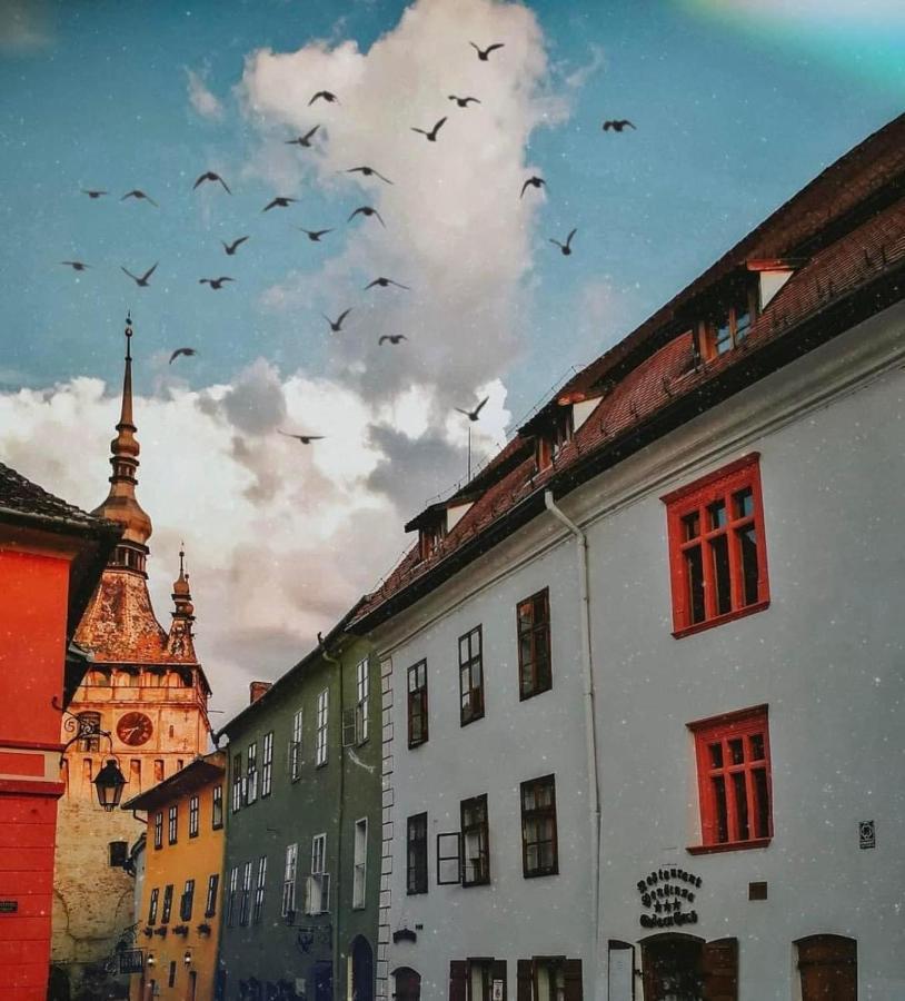 Willa Sedra House Sighișoara Zewnętrze zdjęcie